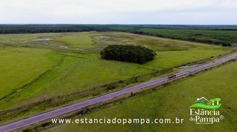 INICIO GADO TOP.00_01_39_22.Quadro024_2f235555aea8b01e0a82951cf4309369c1673b2e.jpg